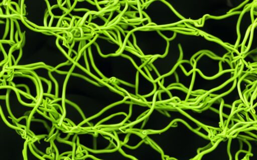 Steering Success: Navigating Modern ERP Implementation Challenges with the Right Partner