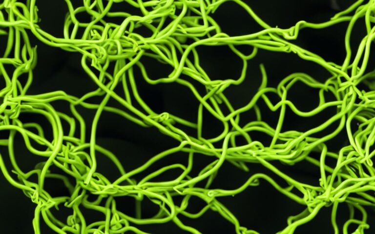 Steering Success: Navigating Modern ERP Implementation Challenges with the Right Partner